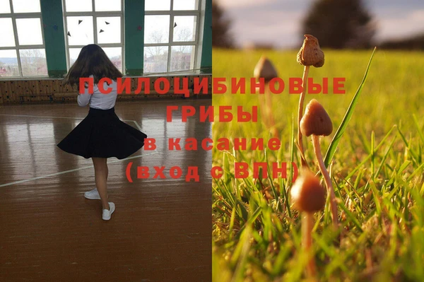 метадон Дмитровск