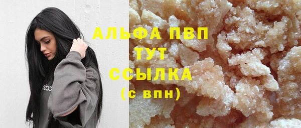 эйфоретик Дмитров